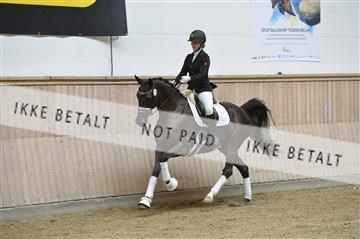 160111_nn_01__ESK1436.JPG