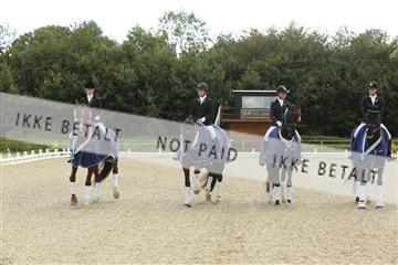 148862_sg_02_IMG_3664.JPG