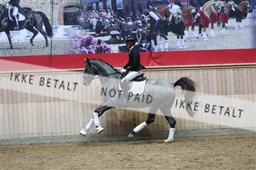 181887_mtp_05_R62_9676.JPG