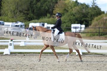 181894_mtp_05_R62_5083.JPG