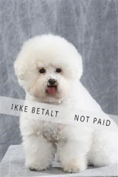 129608_le_ 01_0101.JPG