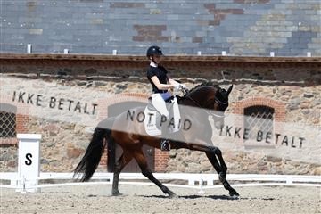 174742_bc_01_R62_2231.JPG