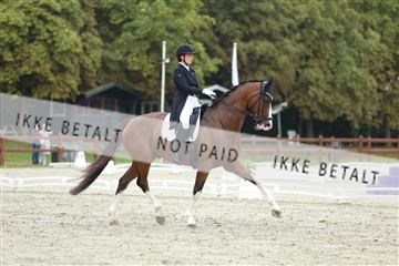 181923_mtp_03_R62_7889.JPG