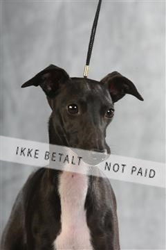 129608_le_ 02_0419.JPG