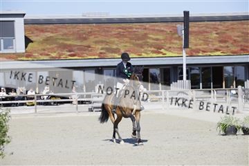 181332_kbb_01_6II4514.JPG