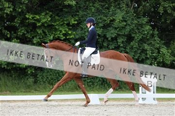 172073_mtp_01_3M5A3086.JPG