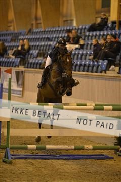 150799_sk_02__SK17936.JPG
