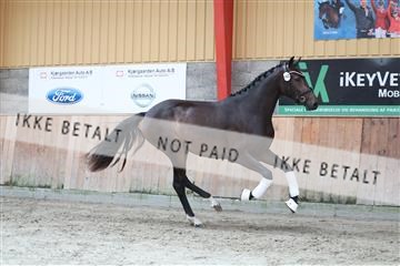 181868_mtp_01_R62_5094.JPG