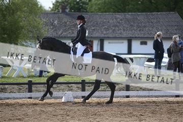 147698_nn_01_IMG_0132.JPG