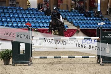 175934_avh_02_8124.JPG