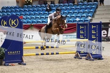 175934_avh_02_7617.JPG