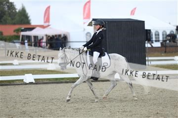 181894_mtp_05_R62_4162.JPG
