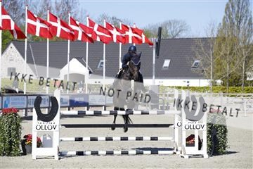 181332_kbb_01_6II3879.JPG