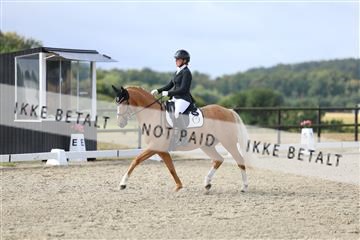 181894_mtp_04_R62_3849.JPG