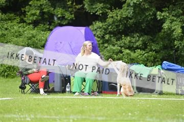 172109_bkn_01__D044810.JPG