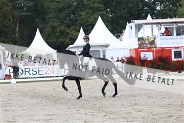 179800_BC_04_00087.JPG