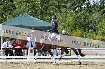 136195_abo_01__AB16046.JPG