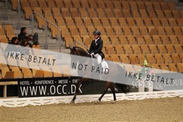 126407_abo_01_IMG_1289.JPG