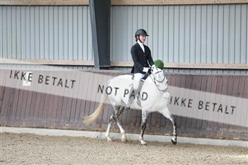 174313_mtp_01_3M5A5647.JPG