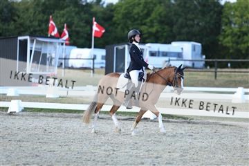 181894_mtp_05_R62_5379.JPG