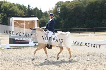 181894_mtp_02_R62_1448.JPG