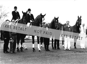 1991.jpg
