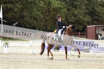 181923_mtp_03_R62_7299.JPG