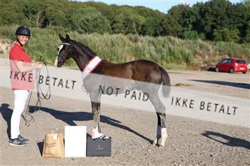 181756_mtp_04_R62_3682.JPG
