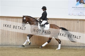 160111_nn_01__ESK1835.JPG