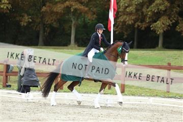 181923_mtp_03_R62_8107.JPG