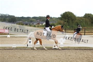 181894_mtp_03_R62_2536.JPG