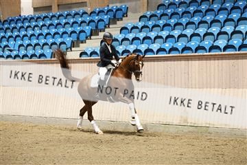 175676_avh_01_R62_4512.JPG