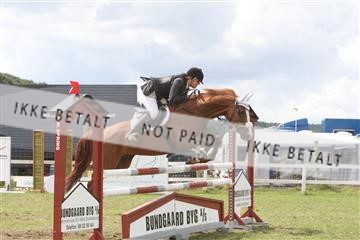 5925_ma_05_IMG_0958.JPG