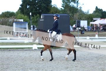 181894_mtp_05_R62_5441.JPG