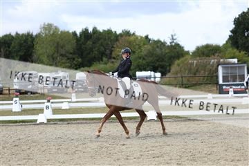 181894_mtp_05_R62_4669.JPG