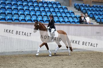 181887_mtp_05_R62_9525.JPG
