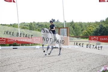 181449_kbb_02_6II0764.JPG