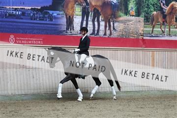 181887_mtp_01_R62_7126.JPG