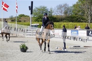 181332_kbb_01_6II3762.JPG