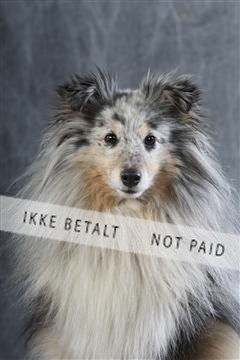 129608_le_ 01_0590.JPG