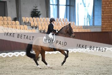 167300_abo_01_D05_2210.JPG