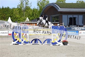 181436_avh_02_3870.JPG