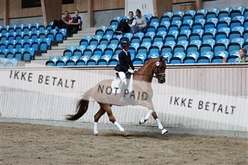 181887_mtp_02_R62_7468.JPG