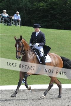 135676_sg_01_IMG_8005.JPG