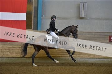 144288_abo_01__AB21849.JPG
