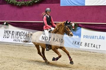 161006_abo_01__D051033.JPG