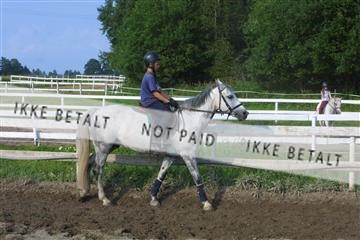 110-1015_IMG.JPG
