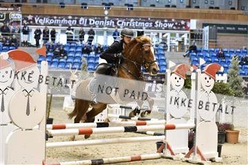 161006_abo_01__D050702.JPG
