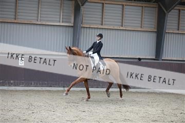 171210_mtp_01_3M5A6800.JPG