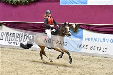 161006_abo_01__D051227.JPG